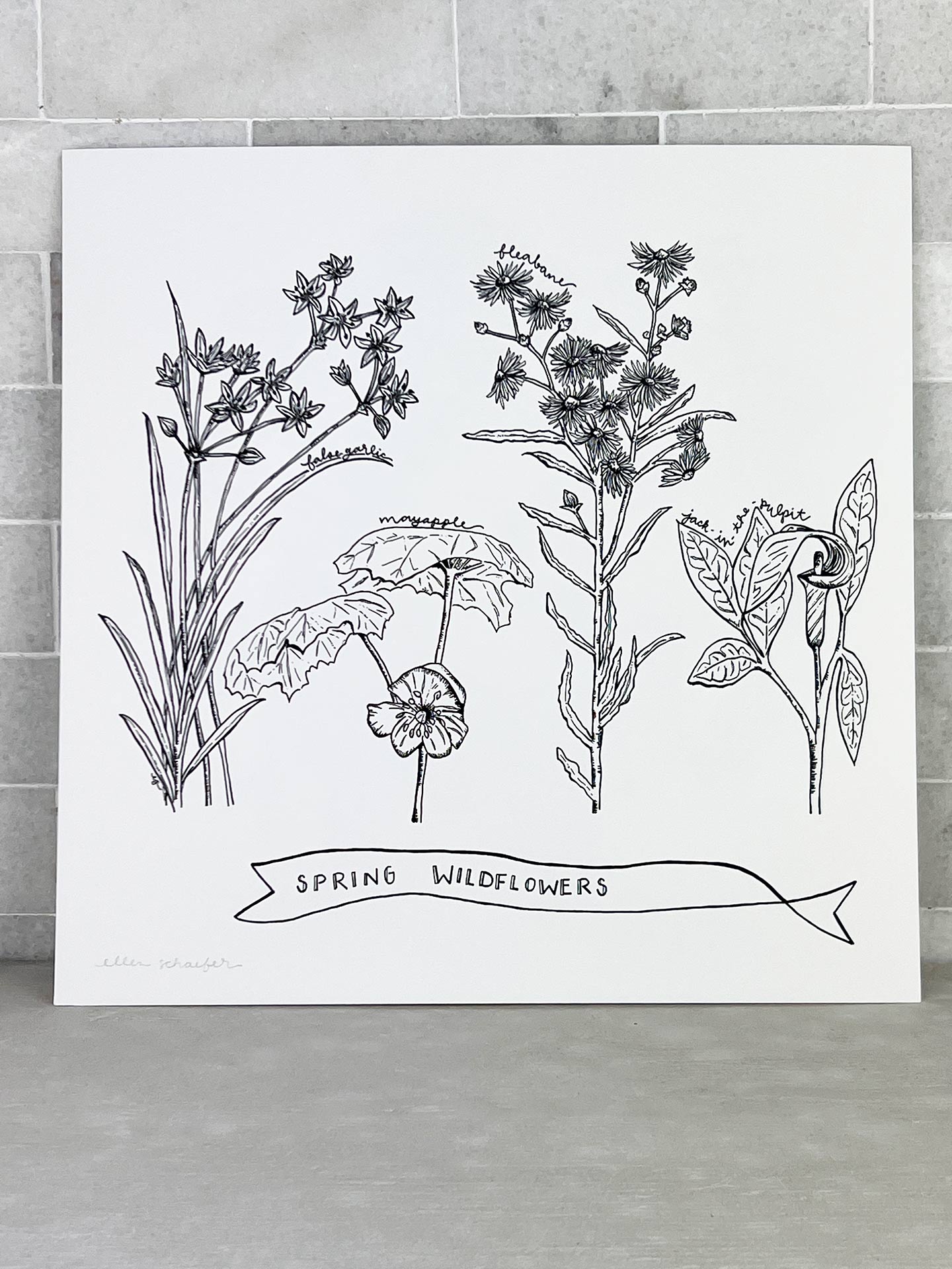 Print Spring Wildflowers Virginia East Coast